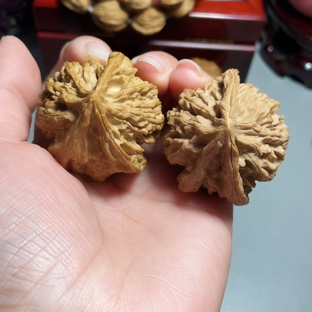 核桃手串/手链精品帝王人奔