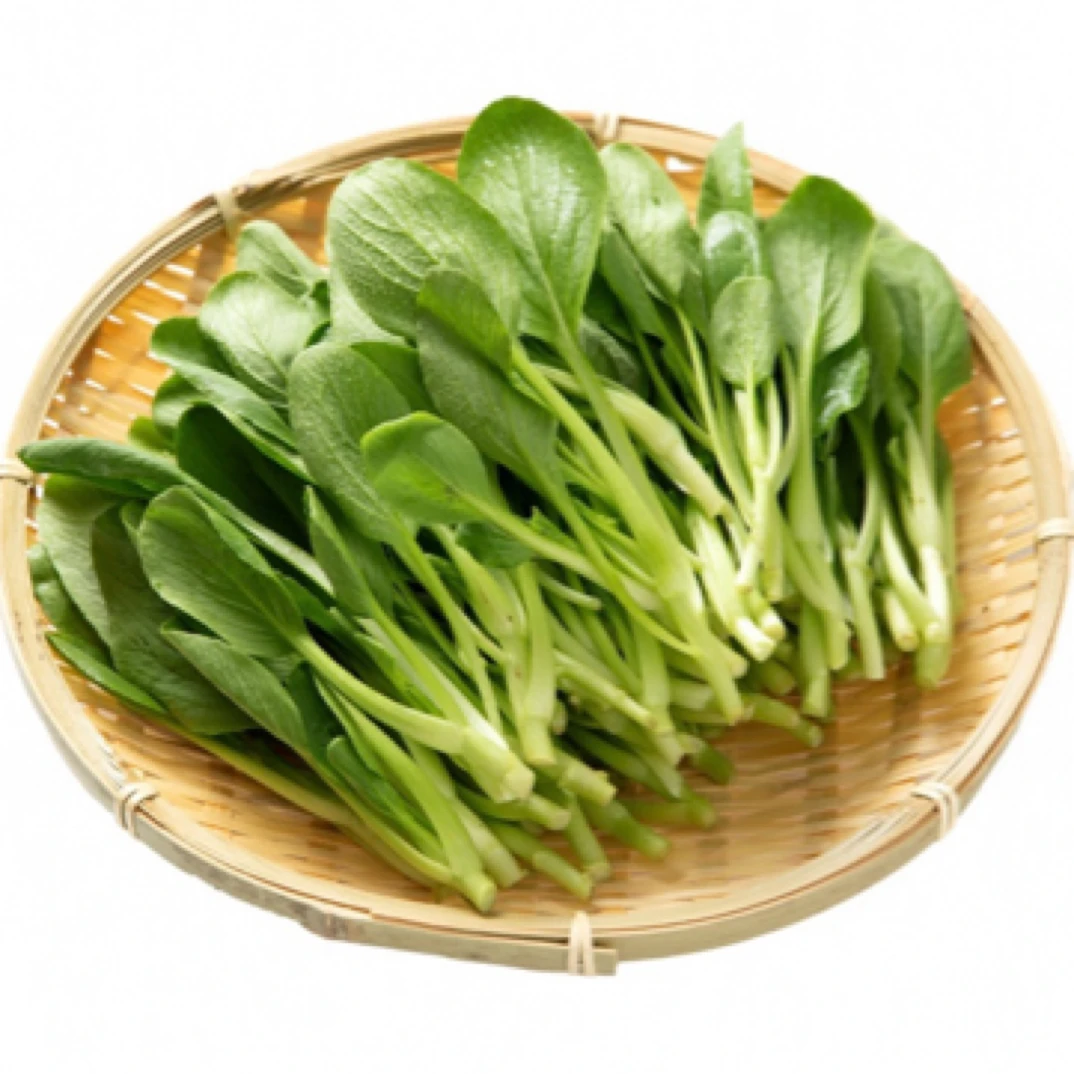 《杭州阿贵家》本地新鲜鸡毛菜250g（鲜嫩口感）迷你小青菜绿色蔬菜鸡毛菜