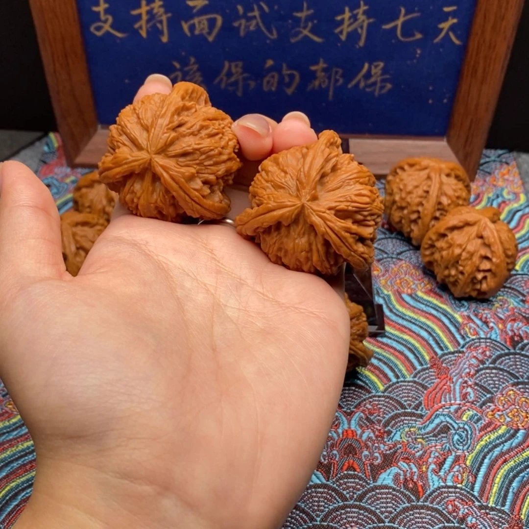 【闪购商品】洋**玉白狮