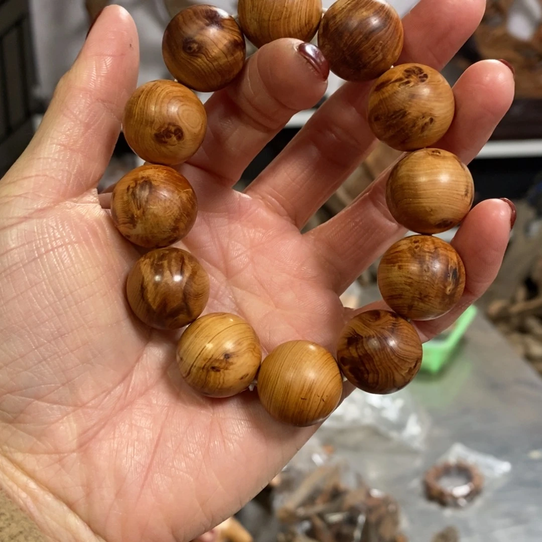 柏木（崖柏）小****o我们都是好孩子