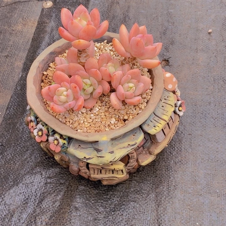 在家干吗你想要就来