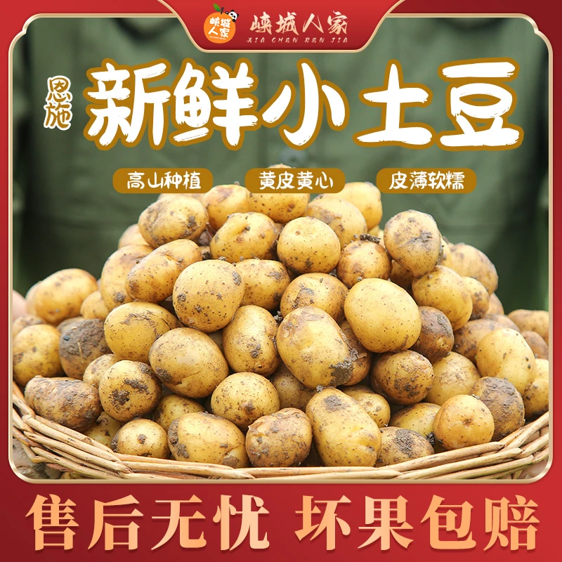 【峡城人家】恩施网红黄心小土豆新鲜现挖3/5/9斤粉糯香马铃薯洋芋