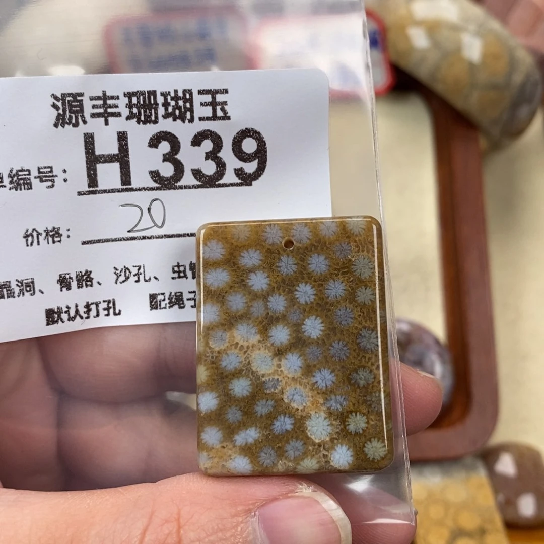 硅化玉颈饰未镶嵌梨*