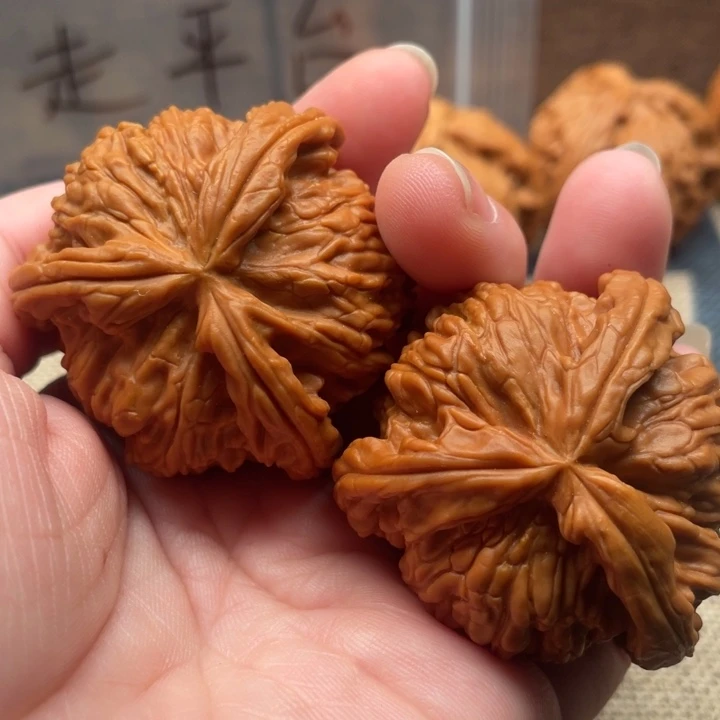 快***哥核桃白狮子43核桃