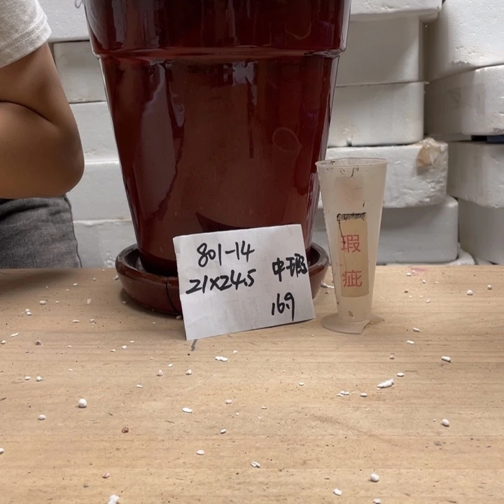 清***萍粗陶多肉花盆微瑕14