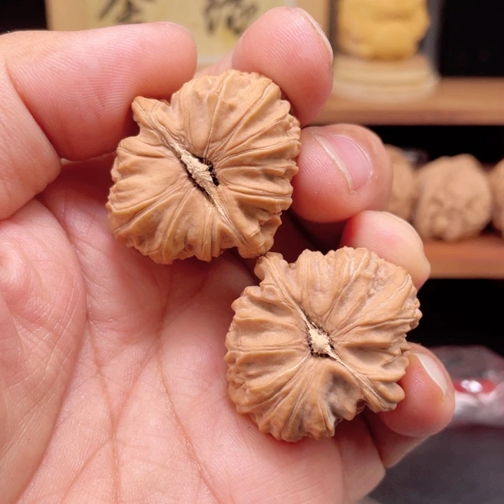 文玩核桃把件白狮子
