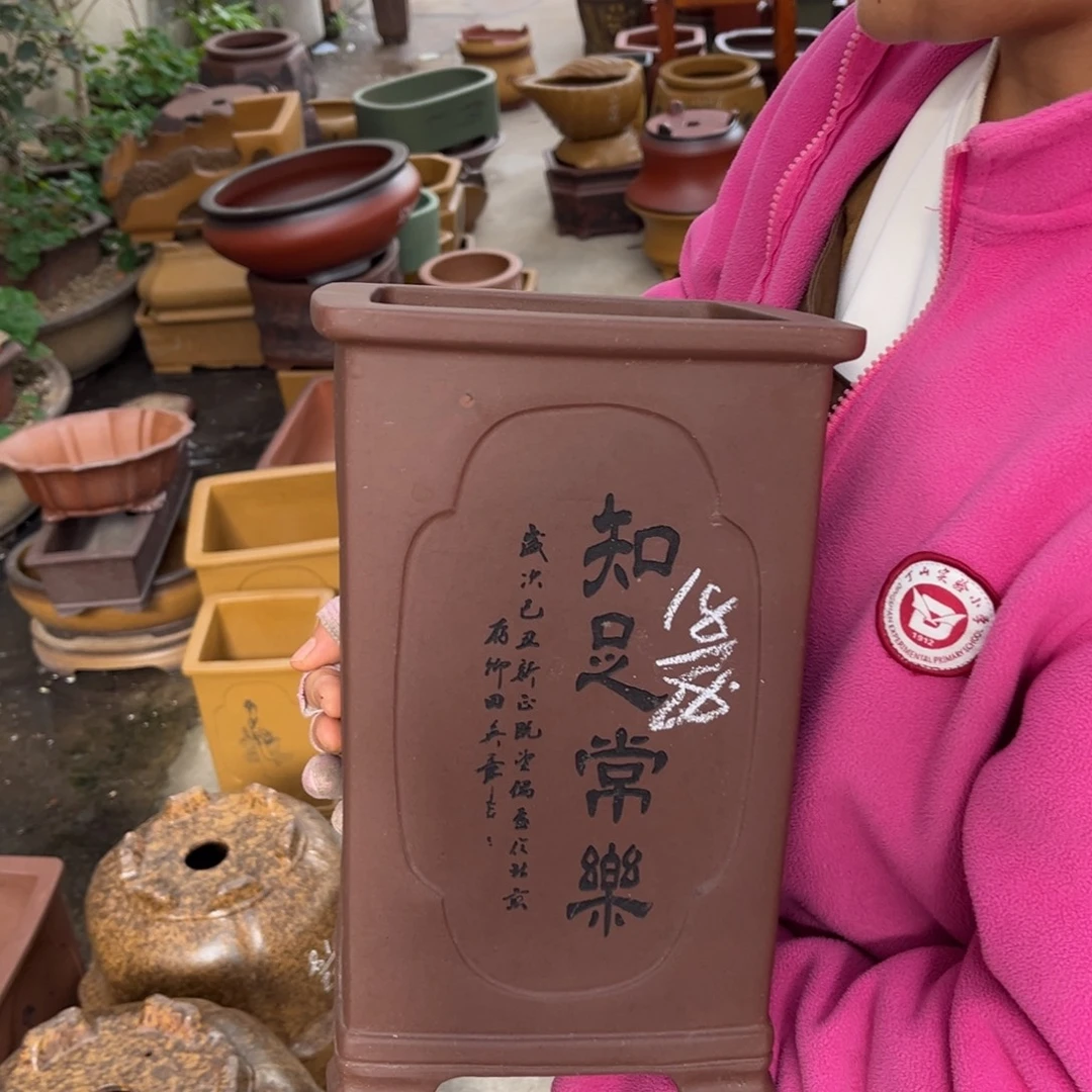花盆紫砂盆景艺术