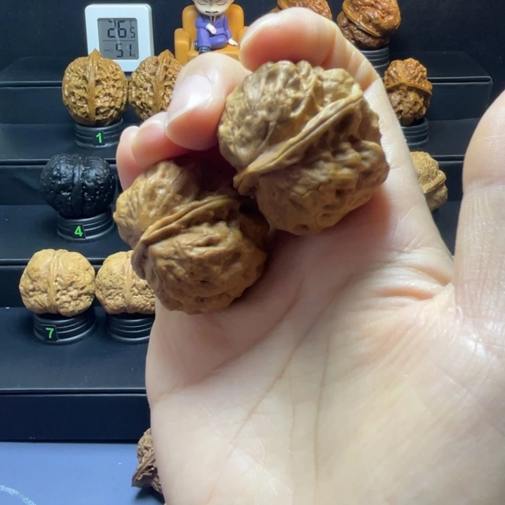 文玩核桃吊坠五毒蟾