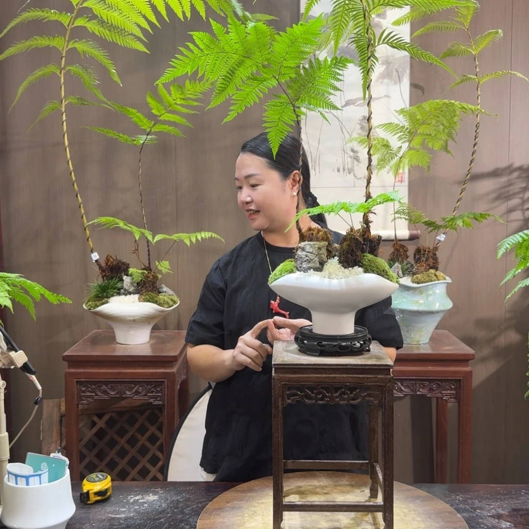 大***能无花朵蕨类植物蕨类植物
