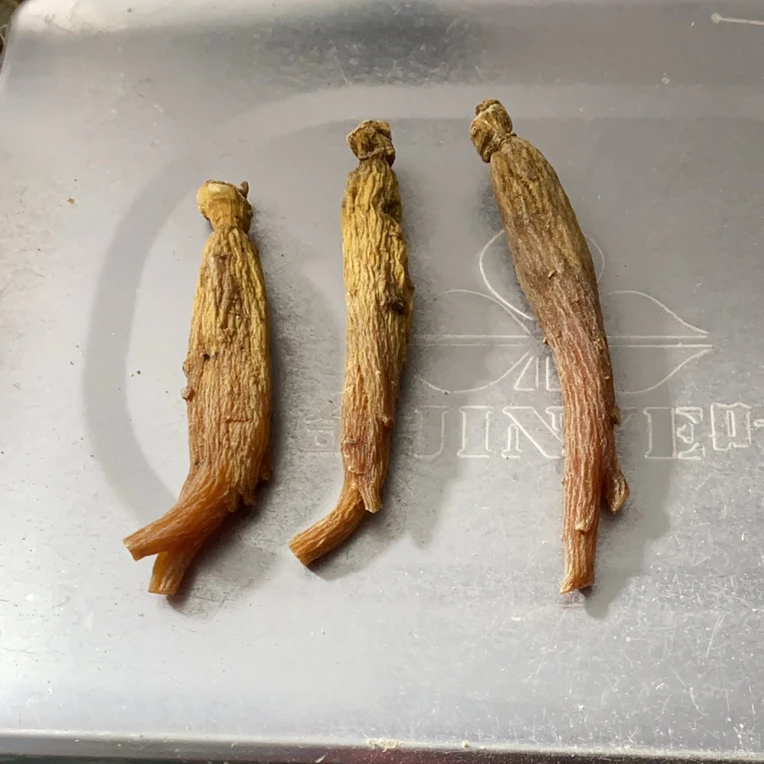 长白山特产无糖高丽参原枝六年滋补养生佳品