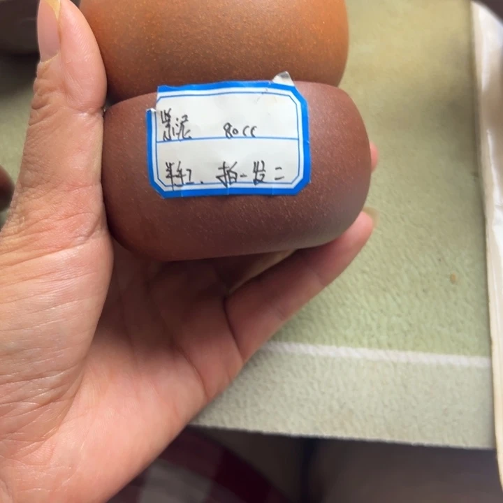 紫砂茶壶每个颜色一个