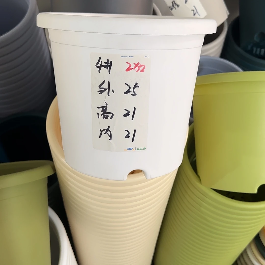 微瑕4号5个带托，白色
