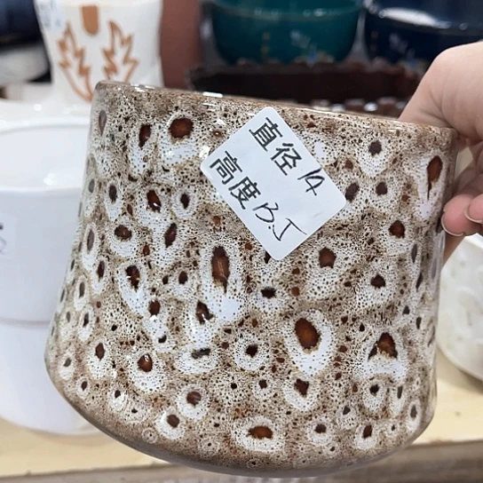 多肉绿植陶瓷花盆9.9包邮