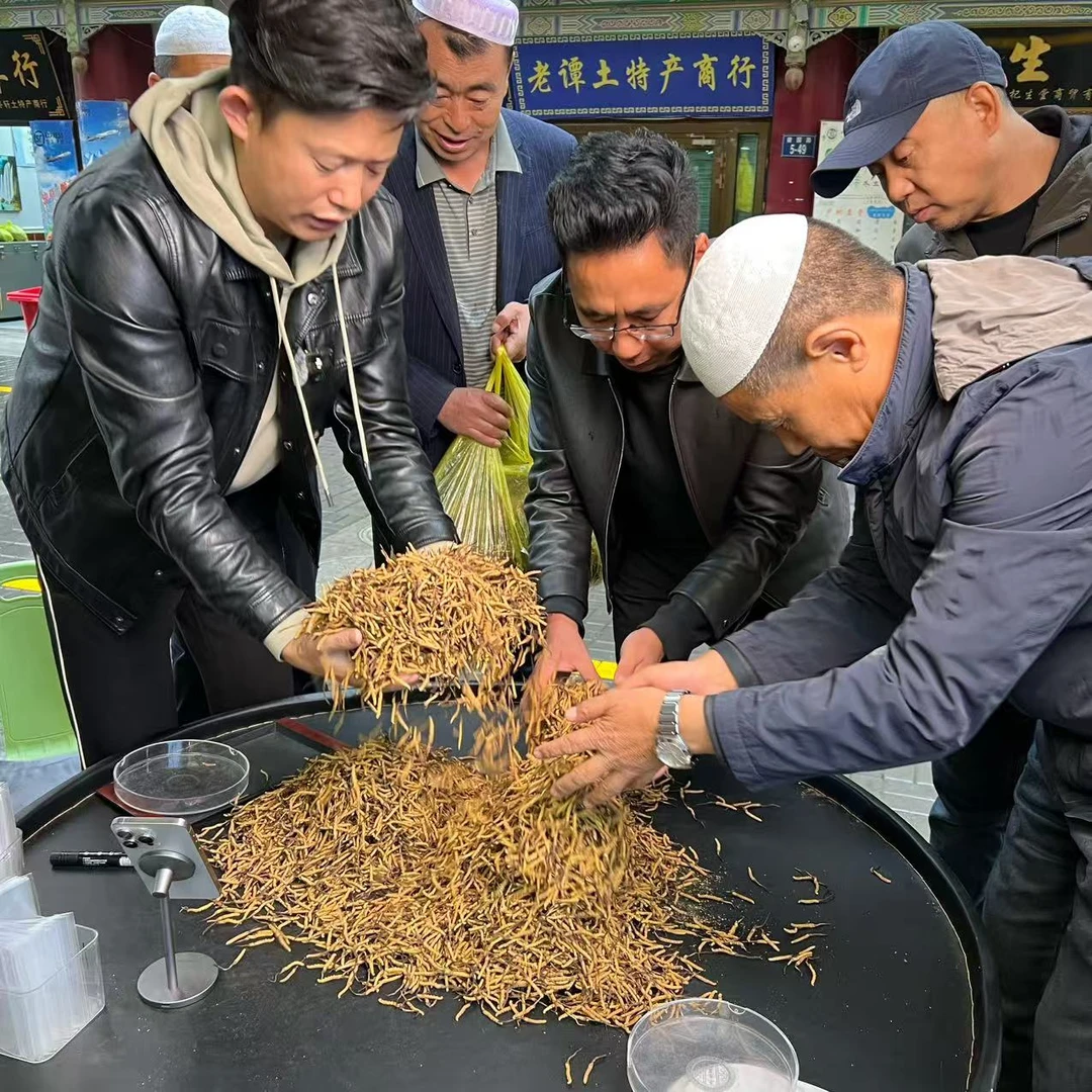 【冬虫夏草】实收现卖 小小草 自然晒干 品质滋补实拍图