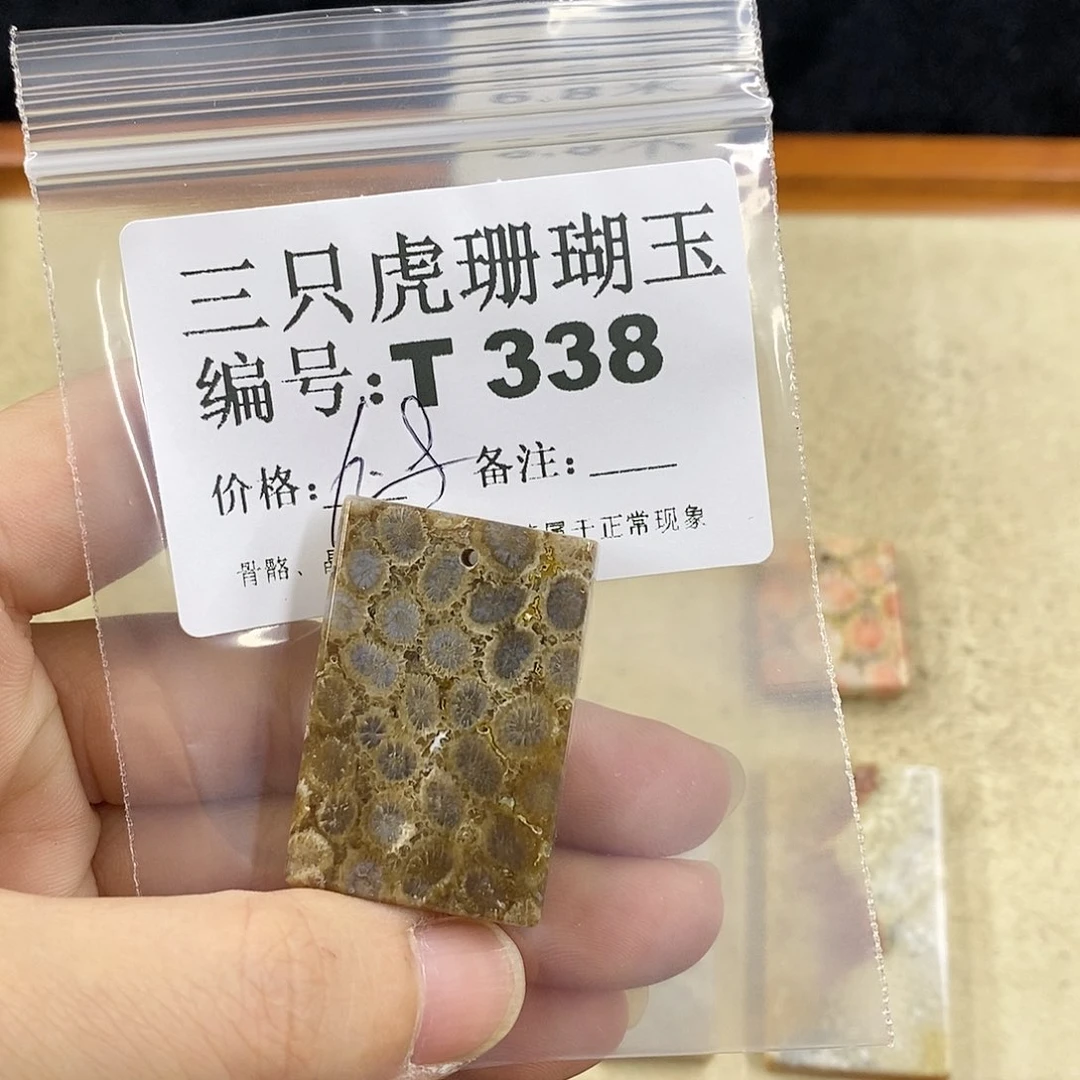 硅化珊瑚（珊瑚玉）1未镶嵌星**