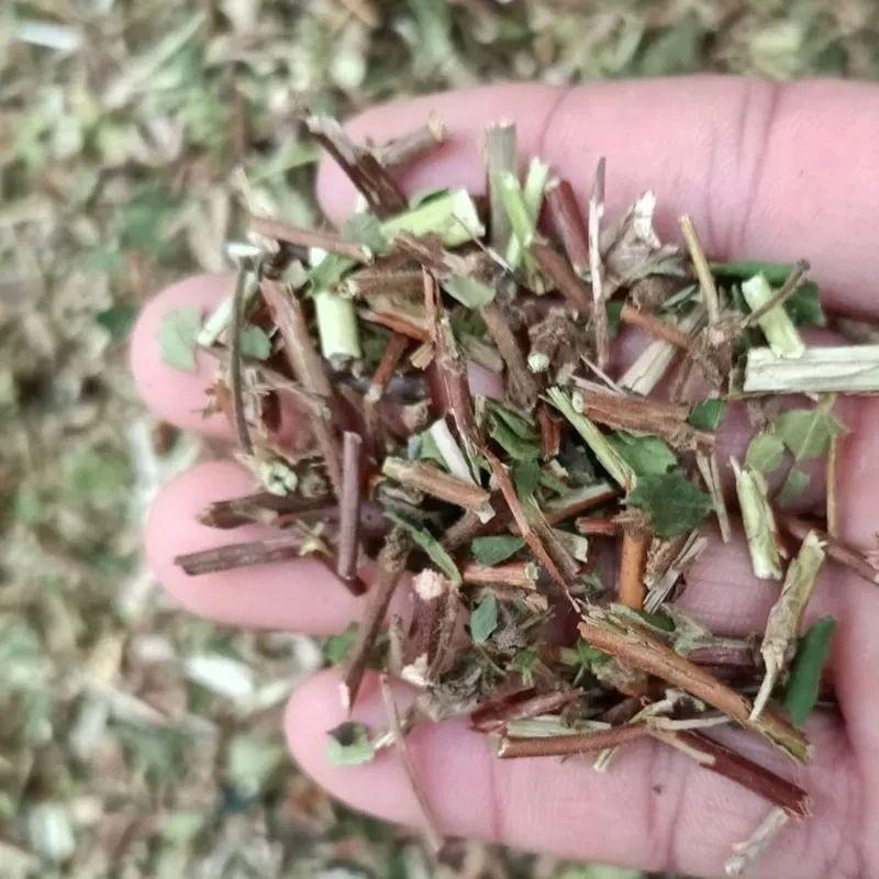 农家沐浴包金银花藤忍冬藤泡澡洗澡包沐浴包宝宝泡澡包四季可用