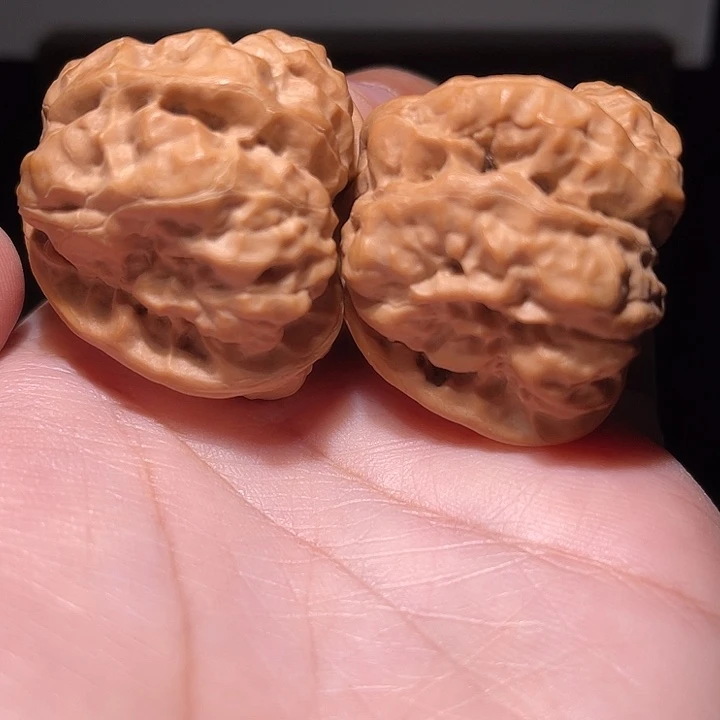 核桃手串/手链40×42  四开背
