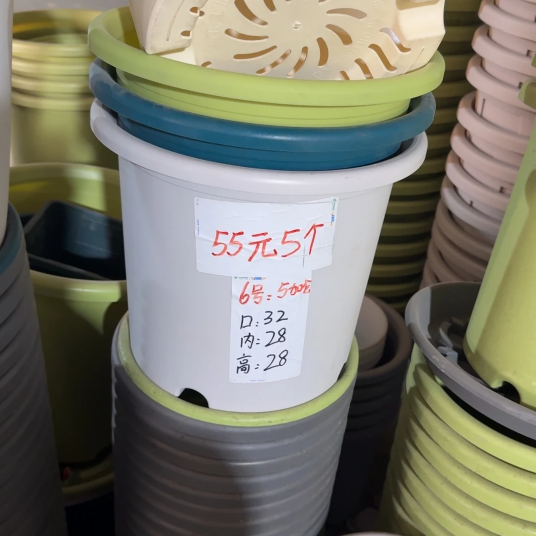 四季6#口径32无拖果绿5个