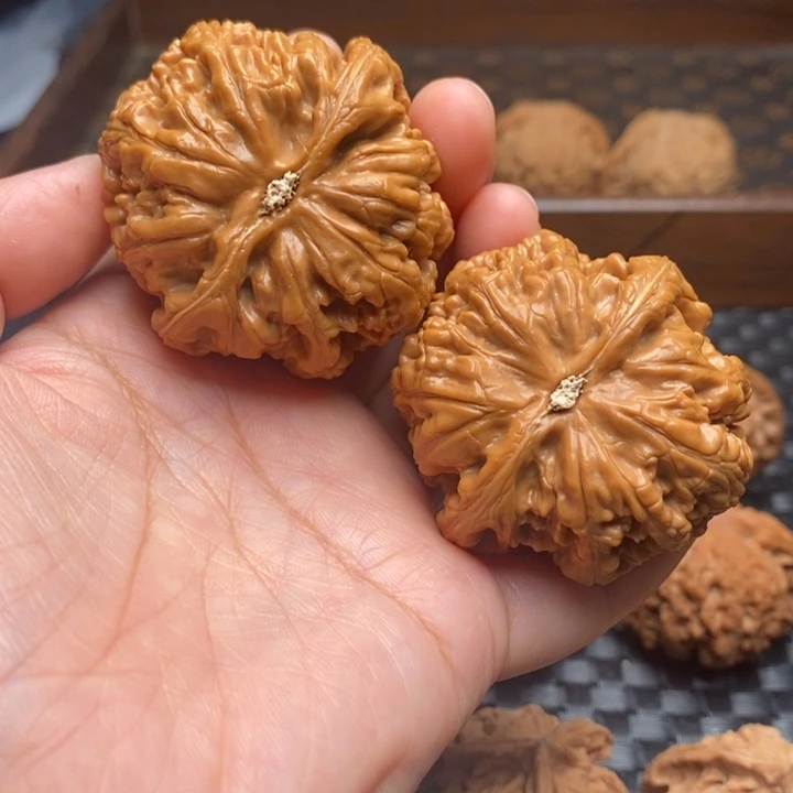 文玩核桃把件粗筋46尺