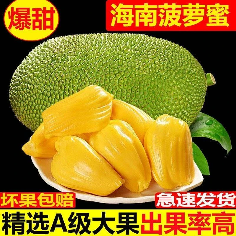 精选海南黄肉菠萝蜜脆甜干苞老树果整个发货包邮菠萝蜜一整个