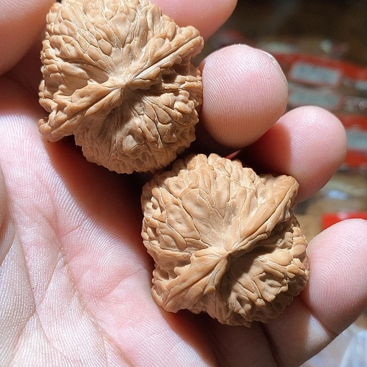 文玩核桃吊坠王*白狮子