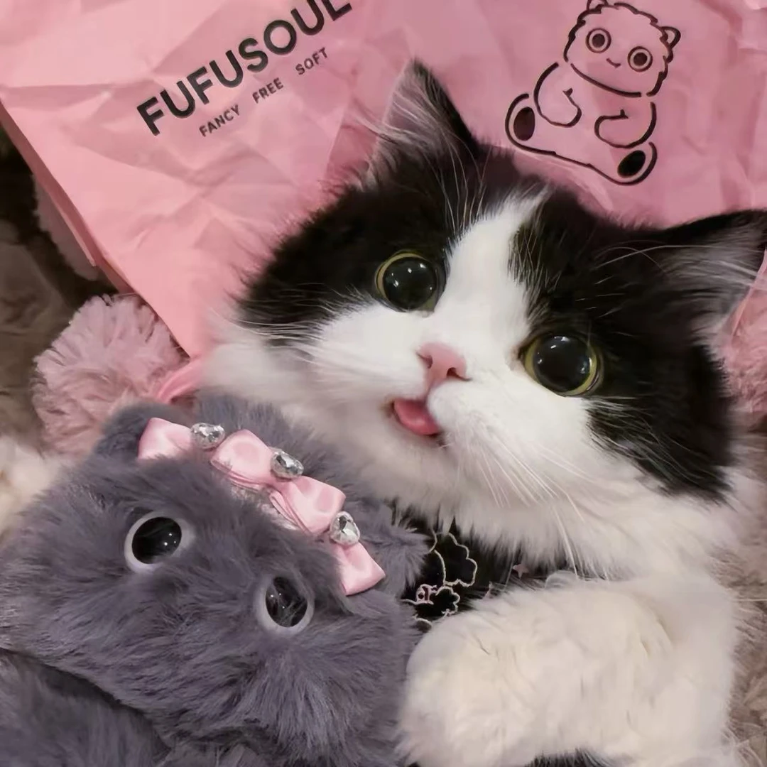 向茸全价猫用主食冻干私厨系列