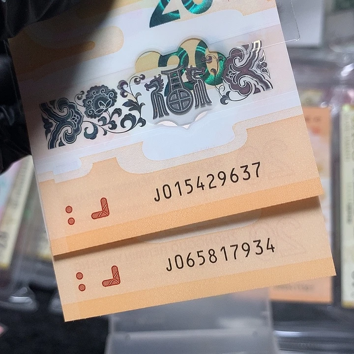 塑料龙钞乱蛇号两张