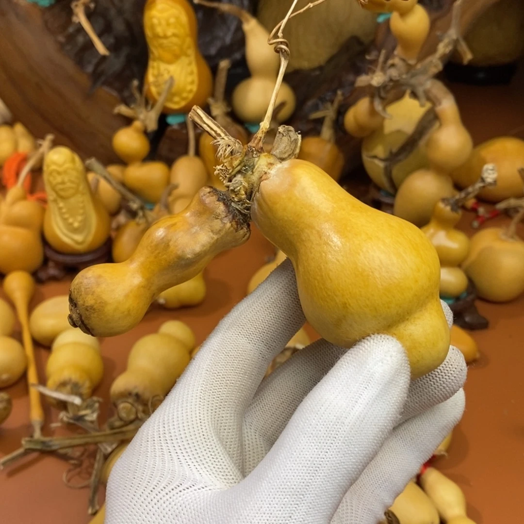 诸***意啦啦教练咯教练教练