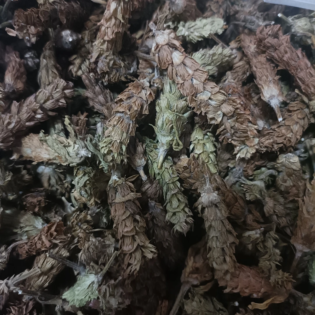 【云南土特产】夏枯草