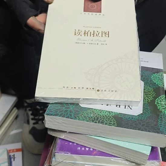 读柏拉图平装库存书