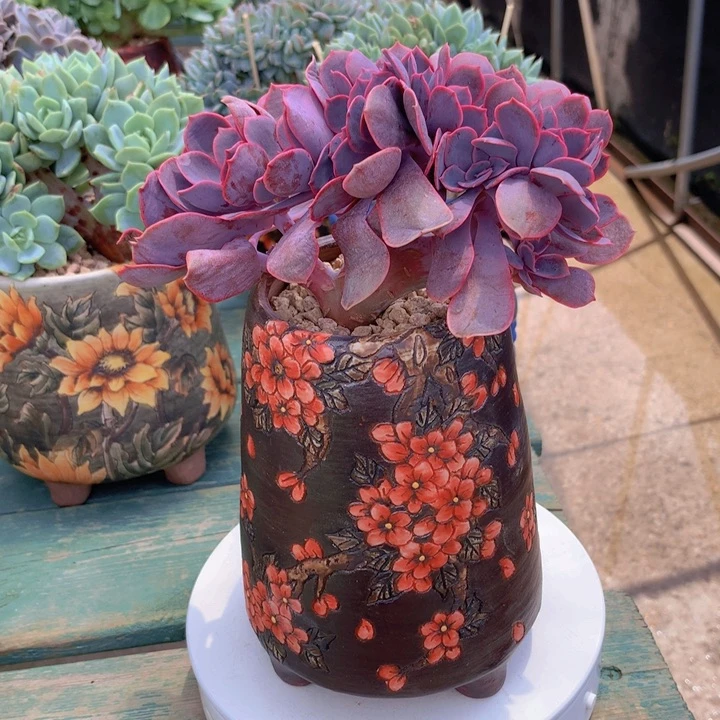 紫丁香朵朵无砍自然群