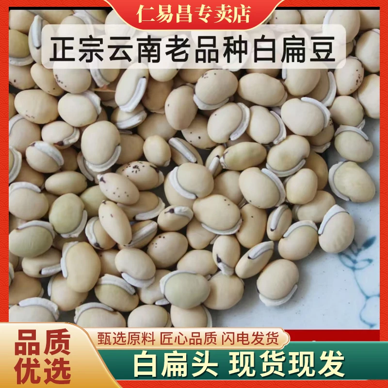 白扁豆正宗云南正品老品种白扁豆药用黑点黑唇可炒熟