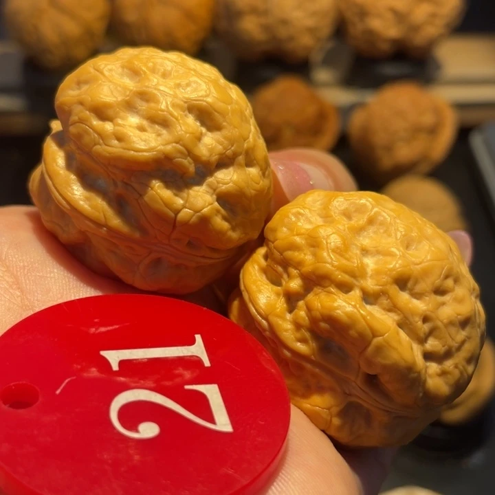 金蟾十八包尺寸36