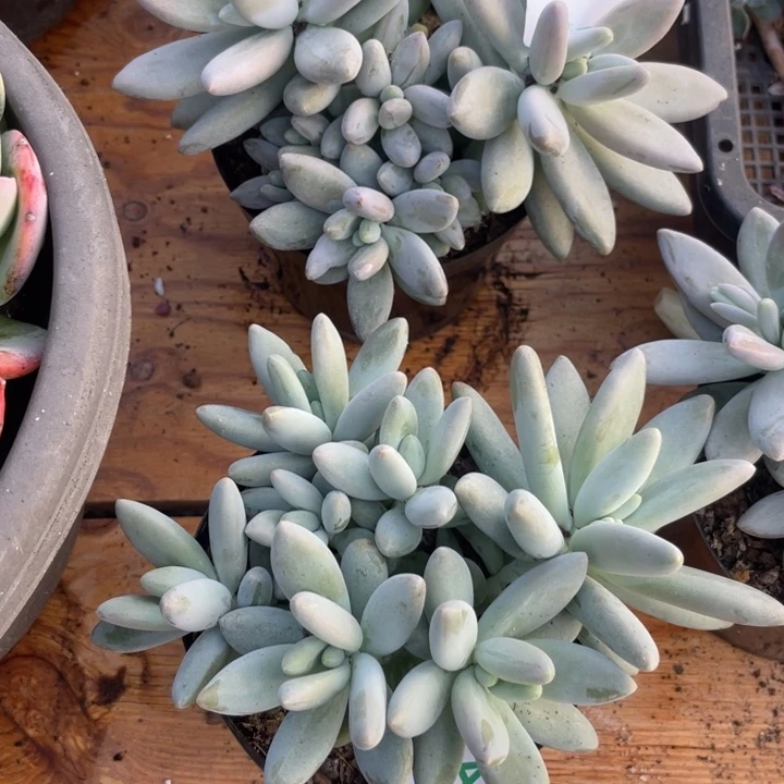 哈哈哈哈哈哈哈哈928