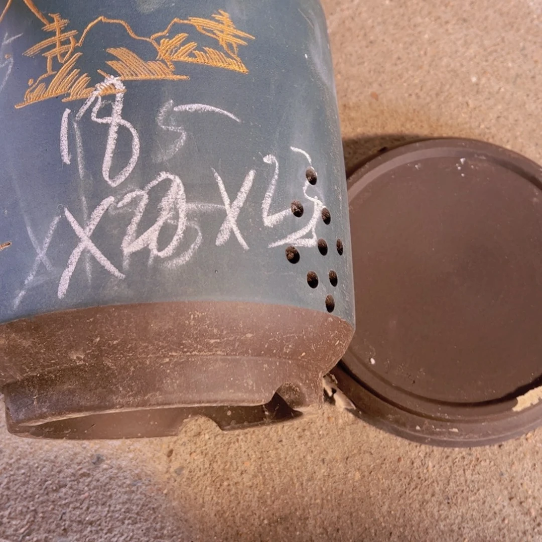 紫砂21…………………………