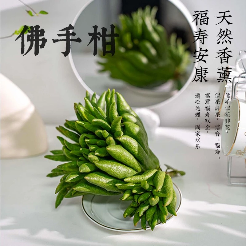 【福寿果】佛手柑鲜果鲜切枝室内天然香薰植物花卉绿植客厅办公桌