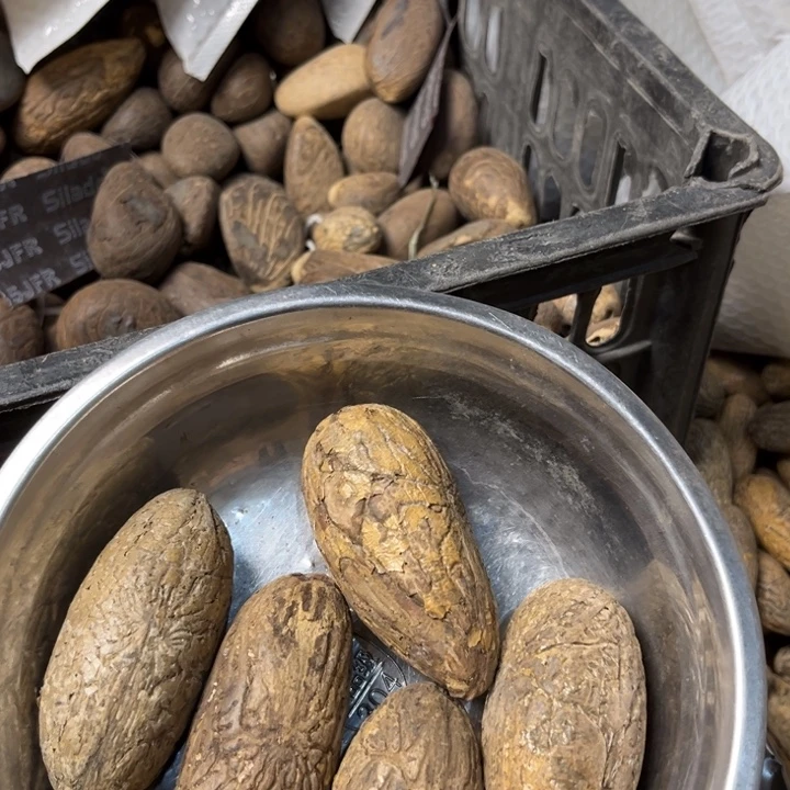 千眼菩提吊坠千眼菩提第131