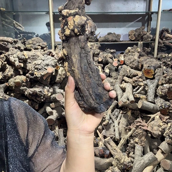 云****香榧木火琉璃的故事是