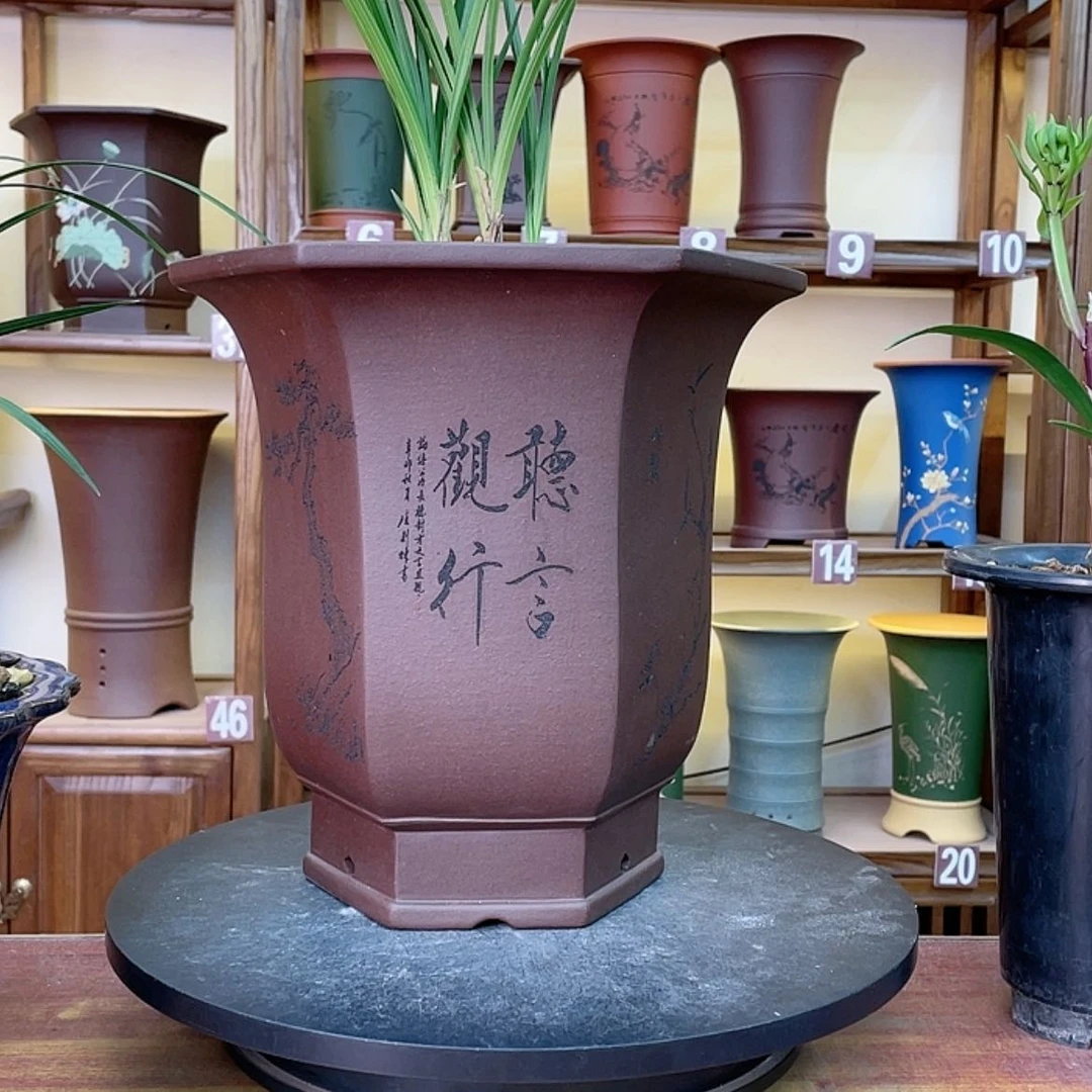 【闪购商品】紫砂花盆兰花455588554888663555