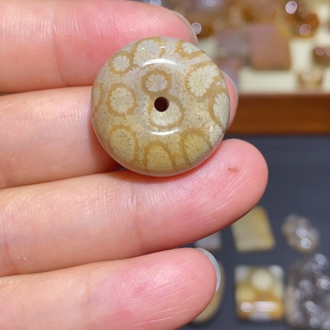 【闪购商品】未镶嵌珊瑚玉硅化玉