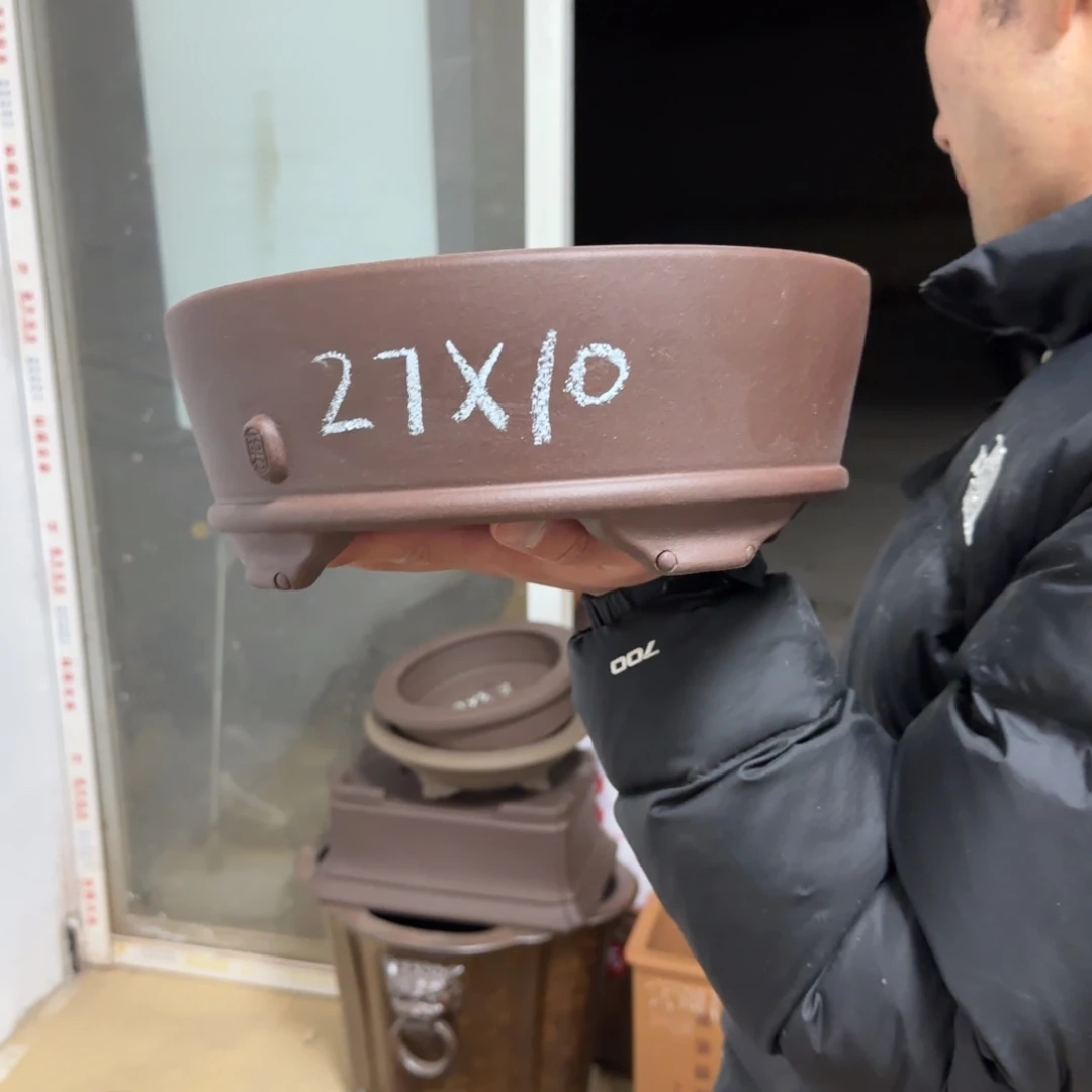 紫砂花盆呜呜呜呜