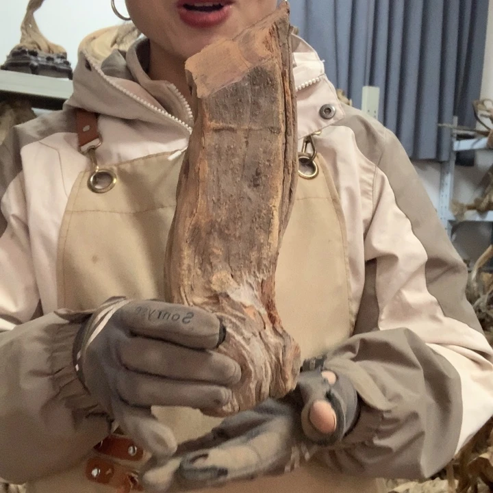 苍***阁木太行崖柏毛料板根