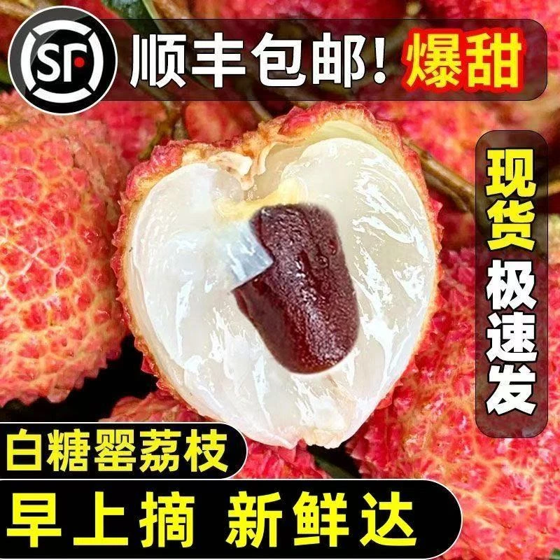 京东快递/顺丰 茂名白糖罂荔枝广东新鲜水果4/6斤 非妃子笑桂味