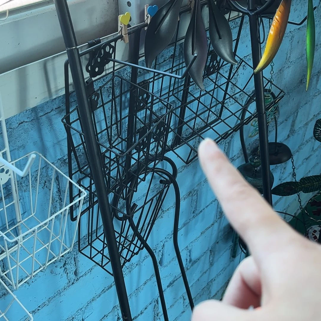 孤品炸炸炸炸炸炸