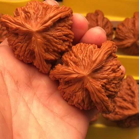 勇***铁核桃核桃核桃核桃核桃