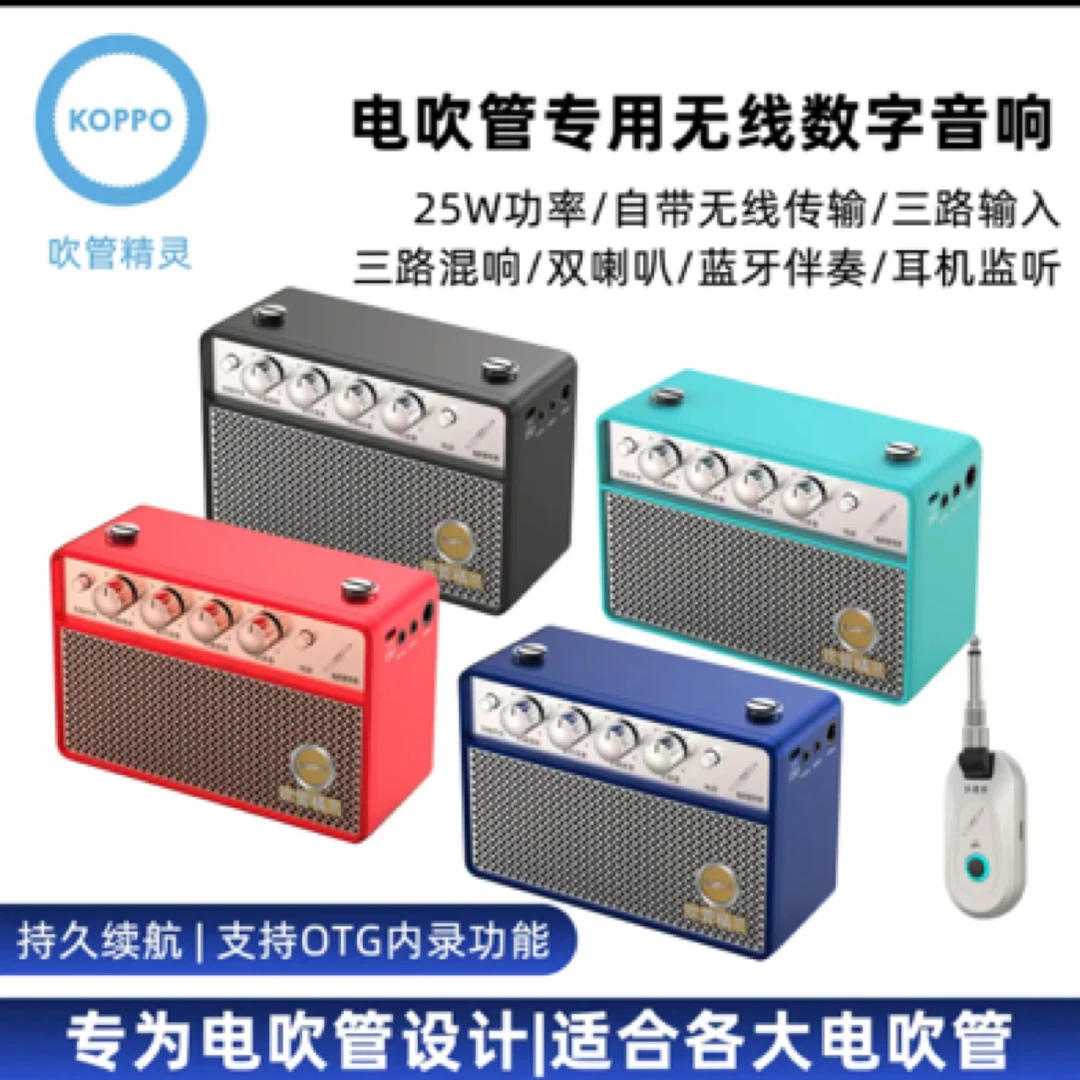 吹管精灵D25乐器音箱