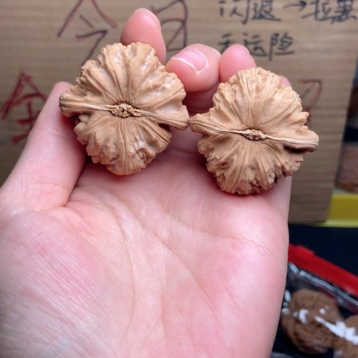 文玩核桃吊坠白狮子40尺全