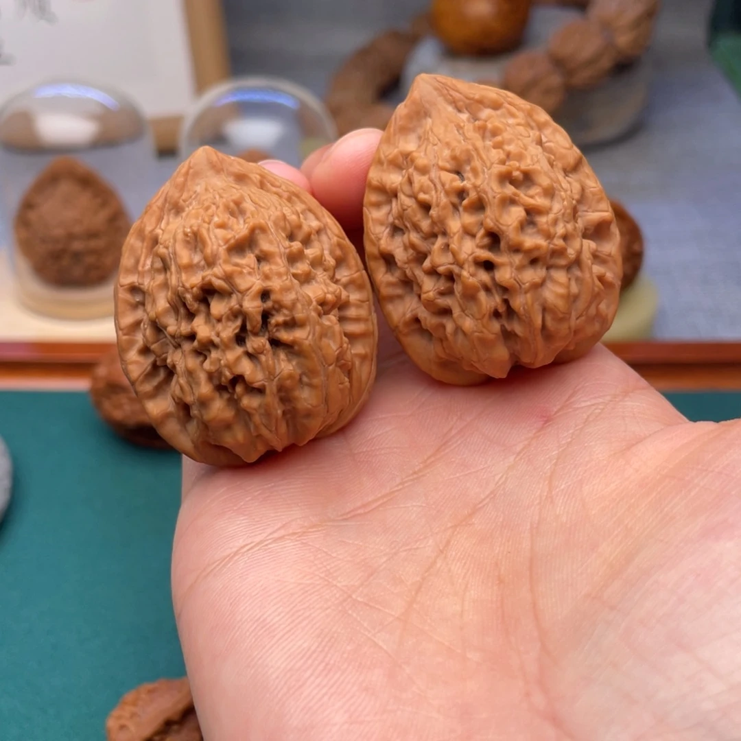 37尺全品无修蚂蚁王。发发发发