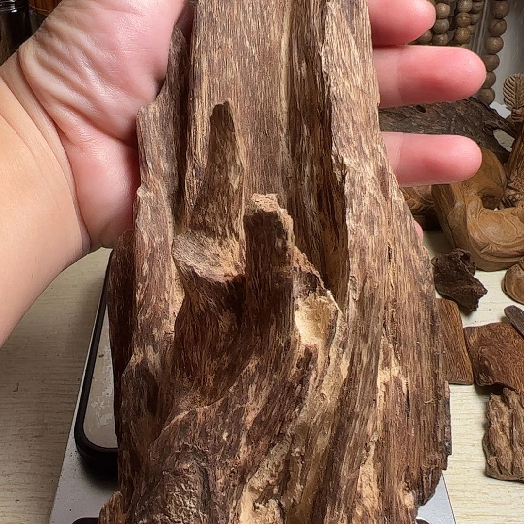 沉香沉香碎屑海南虫漏206克