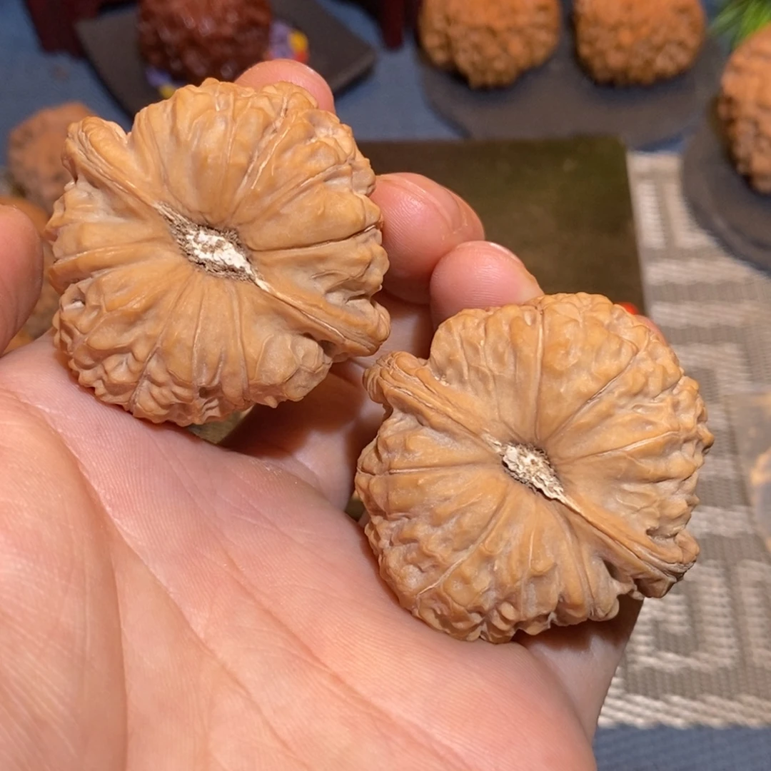 45尺 全品无修白茬 南瓜
